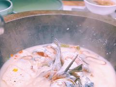 青椒紫苏锅-鲜潭蒸汽石锅鱼(五道口购物中心店)