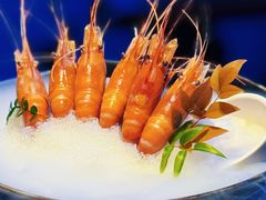 -桂满陇·海市蜃楼·黑金(国金店)