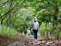 -福清灵石山国家森林公园