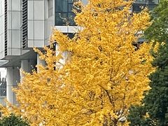 -两江幸福广场