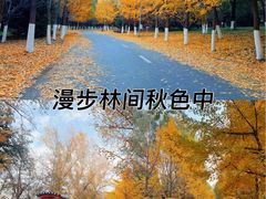 -长白岛森林公园