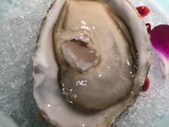 -萤初高端日料王(曲江银泰店)