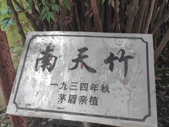 -乌镇东栅景区