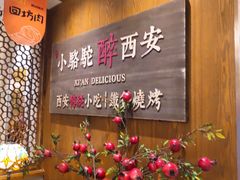 -福苗小骆驼烧烤(曲江店)