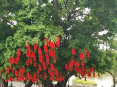 -人民公园(罗湖区)