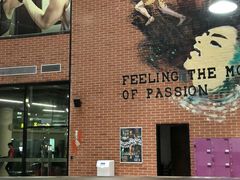 -一兆韦德健身(慧芝湖店)