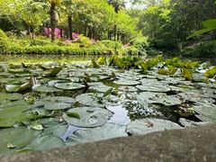 -南山风景名胜区