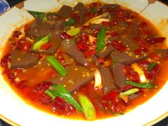 -雲蜀龙阁·金牌水煮鱼(方庄店)