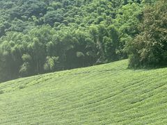 -敬亭山风景名胜区