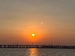 -宝安西湾红树林湿地公园