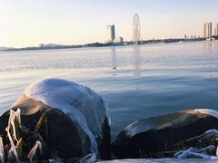 -长广溪湿地公园
