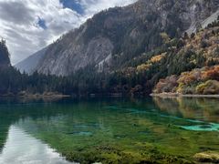 -九寨沟-树正沟