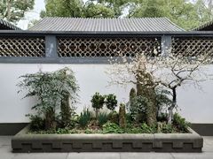 -杭州植物园