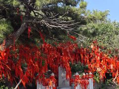 -泰山风景名胜区