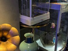 -XIUhome秀候酒馆(玉林路店)