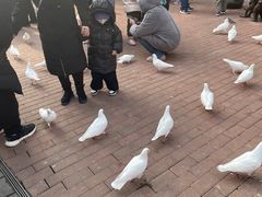 -王府井奥莱临潼小镇(临潼店)