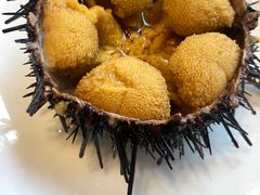 生吃海胆-海味当家·蒸锅海鲜(中山广场创始店)
