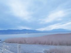 -盐湖景区