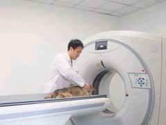 -派美特宠物医院·核磁CT·骨科肿瘤·疑难转诊(沈农禾丰店)