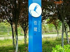 -白鹭湾湿地公园