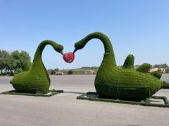 -泗洪洪泽湖湿地景区