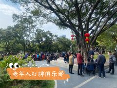 -四海公园(南山区)