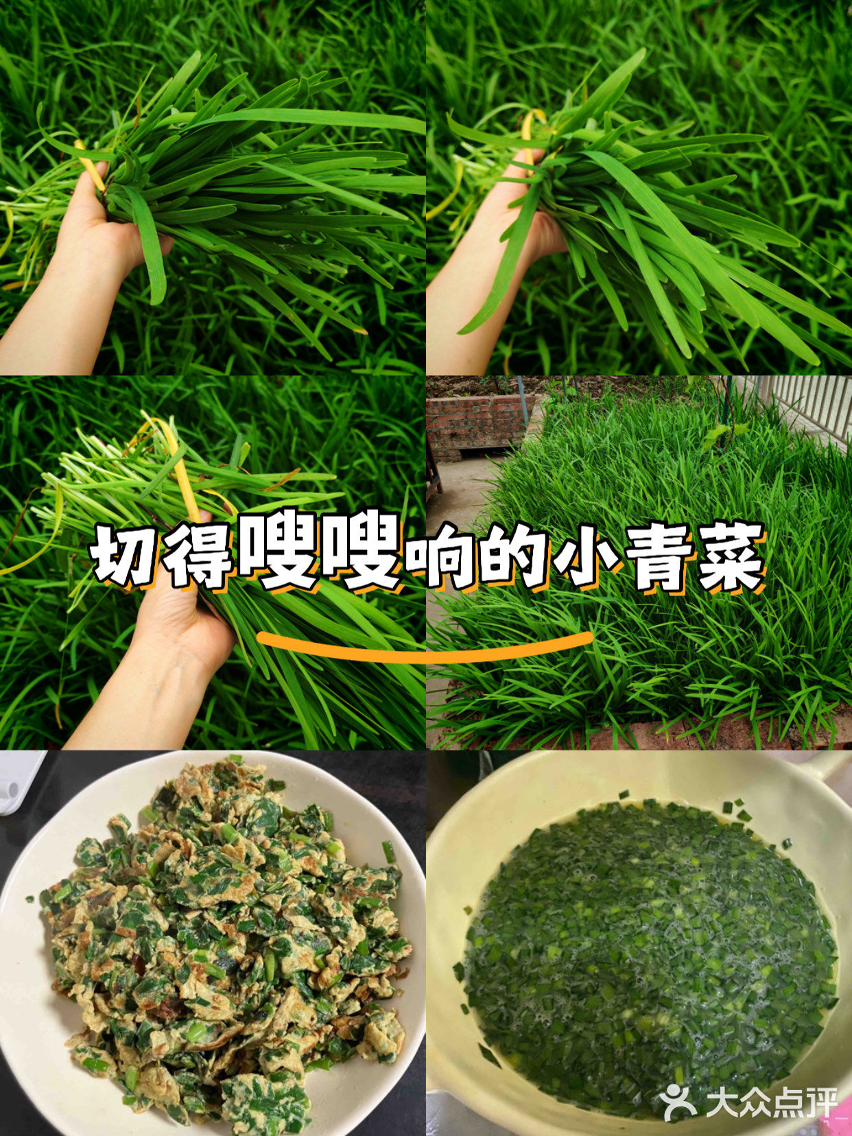 春日鲜味！韭菜炒鸡蛋