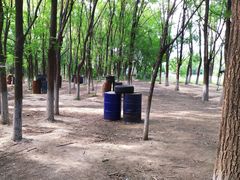 -亲兄弟真人CS团建拓展基地