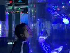 -重庆欢乐海底世界