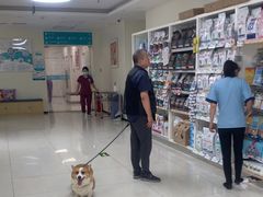 -美联众合动物医院·24h京西诊疗中心