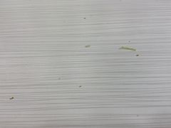 -赛百味SUBWAY(中亭街店)