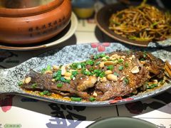 -酒阳蒸经小酒馆(解放碑店)