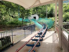 -燕子河大峡谷天坑仙境