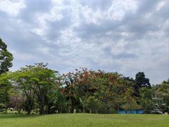 -中国科学院西双版纳热带植物园