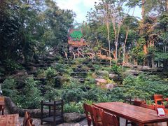 -绿光森林餐厅