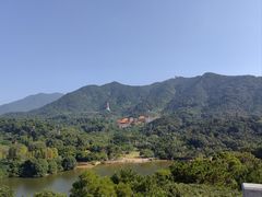 -深圳仙湖植物园