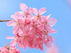 -东方体育中心(地铁站)