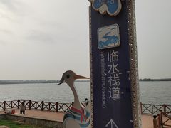 -丁香湖公园