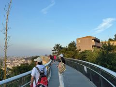 -仙岳公园