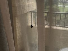 -幸福湖国际会议中心