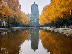 -玲珑塔公园