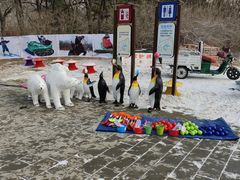 -北京亚布洛尼朝阳公园滑雪场