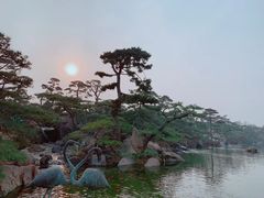 -罗红摄影艺术馆