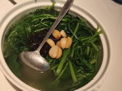春水照鸡汤时疏-桂满陇·蟹黄小笼汤包(清河万象店)
