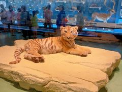 -浙江自然博物院(杭州馆)