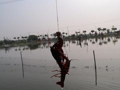 -梁鸿国家湿地公园