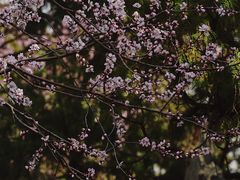 -颐和园
