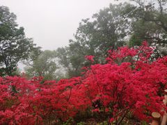 -西泰山风景区