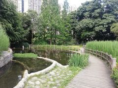 -成都市活水公园