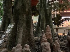 -中国湿地博物馆